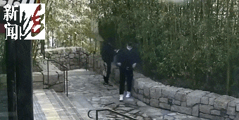 太猖狂！事发上海迪士尼<strong></p>
<p>理财资源</strong>，7人被刑拘