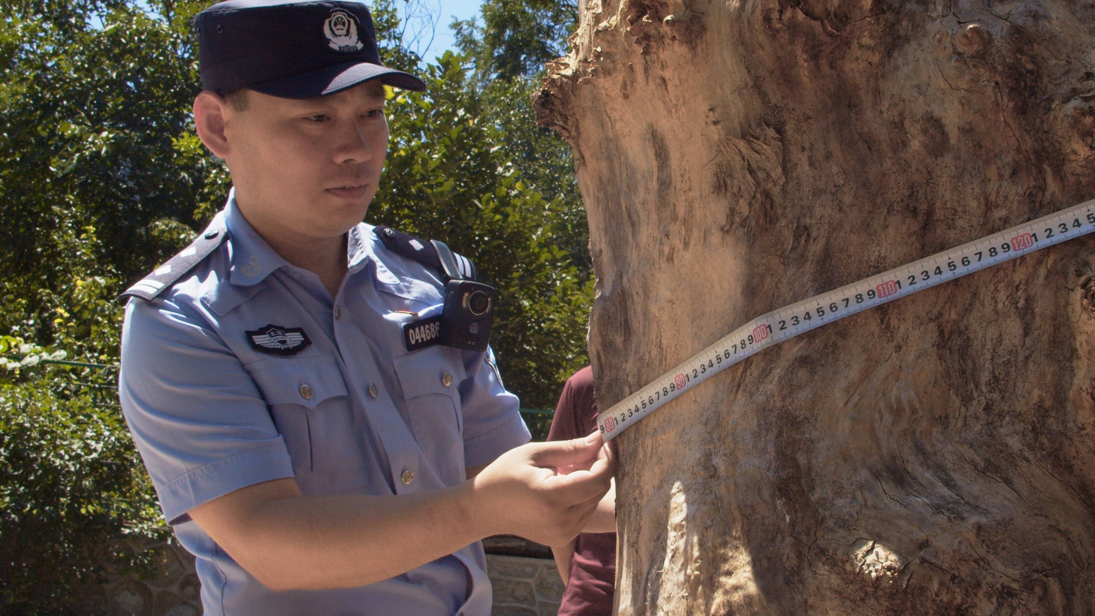 森林警察韩孟祺：乔装成驴友潜伏密林中<strong></p>
<p>理财规划师培训</strong>，抓获“粘鸟”嫌疑人