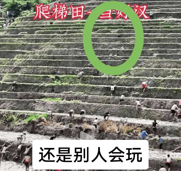 桂林一景区回应爬梯田比赛前两名半坡起跑作弊：游客赛前试爬后躺半坡<strong></p>
<p>51理财</strong>，工作人员没发现