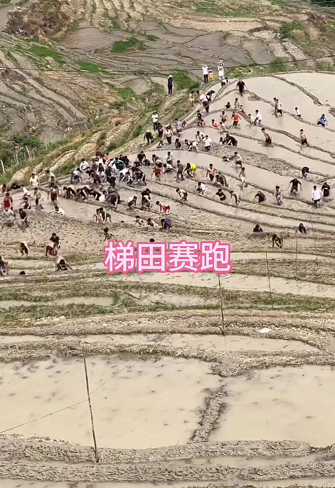 桂林一景区回应爬梯田比赛前两名半坡起跑作弊：游客赛前试爬后躺半坡<strong></p>
<p>51理财</strong>，工作人员没发现