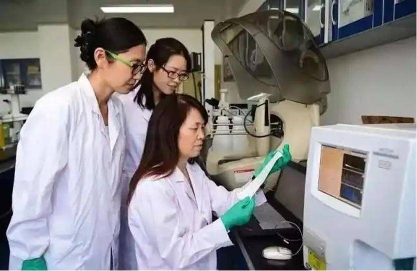 深挖 | “西北大学副校长范代娣成陕西首富”系乌龙<strong></p>
<p>理财百科</strong>，但她的人生如同开挂