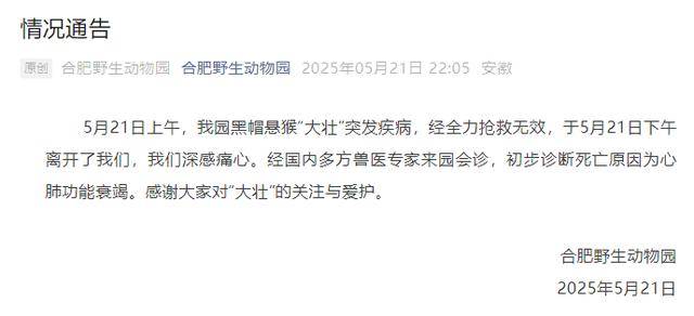 网红猴“大壮”突然离世<strong></p>
<p>银行理财产品投资</strong>！曾因方脸“丑”出圈