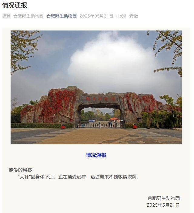 网红猴“大壮”突然离世<strong></p>
<p>银行理财产品投资</strong>！曾因方脸“丑”出圈