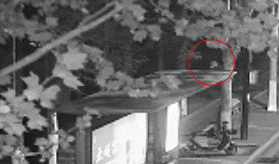 江苏一男子戴仿真“人皮”面具入室盗窃<strong></p>
<p>理财软件</strong>，流窜多个小区作案，涉案金额达15万余元