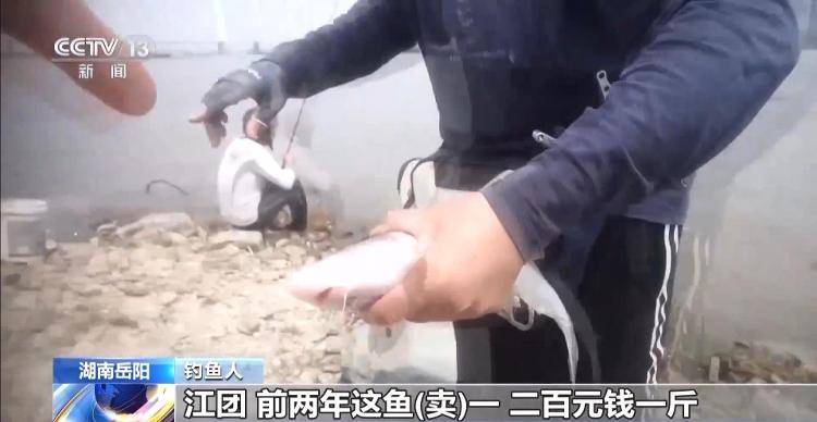 保护区里的“疯狂垂钓”屡禁不止<strong></p>
<p>理财软件</strong>！记者调查