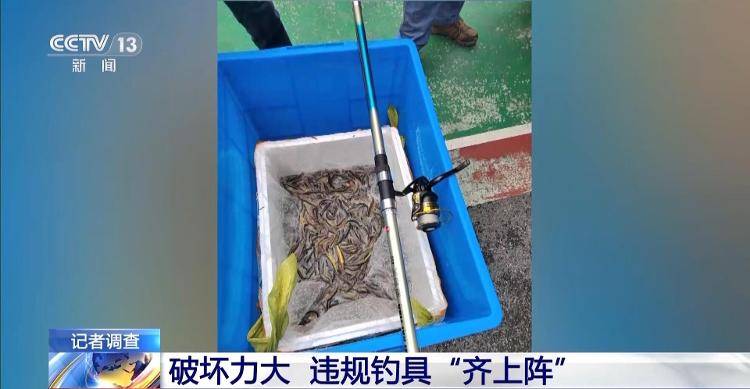 保护区里的“疯狂垂钓”屡禁不止<strong></p>
<p>理财软件</strong>！记者调查