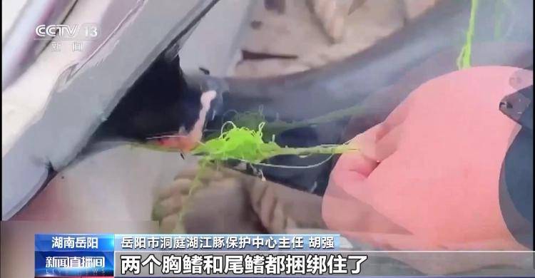 保护区里的“疯狂垂钓”屡禁不止<strong></p>
<p>理财软件</strong>！记者调查