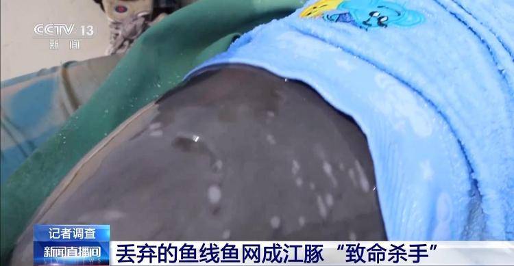 保护区里的“疯狂垂钓”屡禁不止<strong></p>
<p>理财软件</strong>！记者调查
