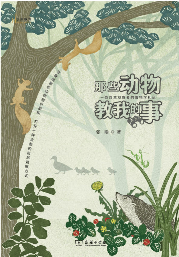 张瑜：我们所居住的北京<strong></p>
<p>菠萝理财</strong>，是亲近自然的最佳场所
