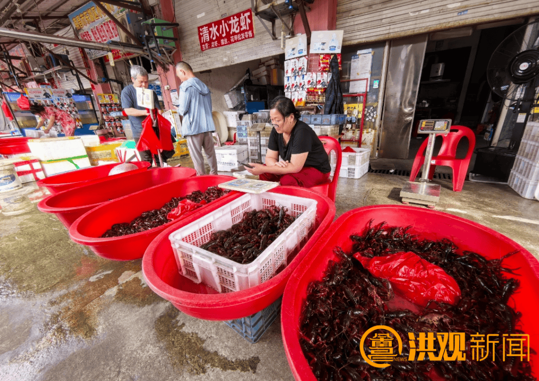 价格腰斩<strong></p>
<p>小鸡理财</strong>！13元/斤！南昌正大量上市