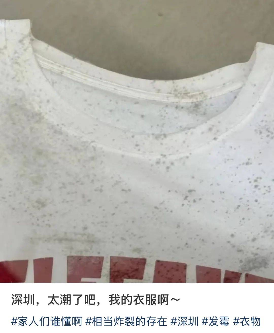 “真的绝望”！最近<strong></p>
<p>待处理财产损溢</strong>，很多深圳人家中被悄悄入侵！速自查这些地方……