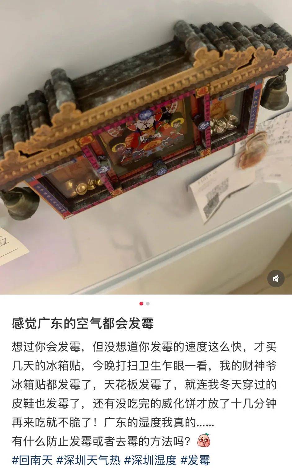 “真的绝望”！最近<strong></p>
<p>待处理财产损溢</strong>，很多深圳人家中被悄悄入侵！速自查这些地方……