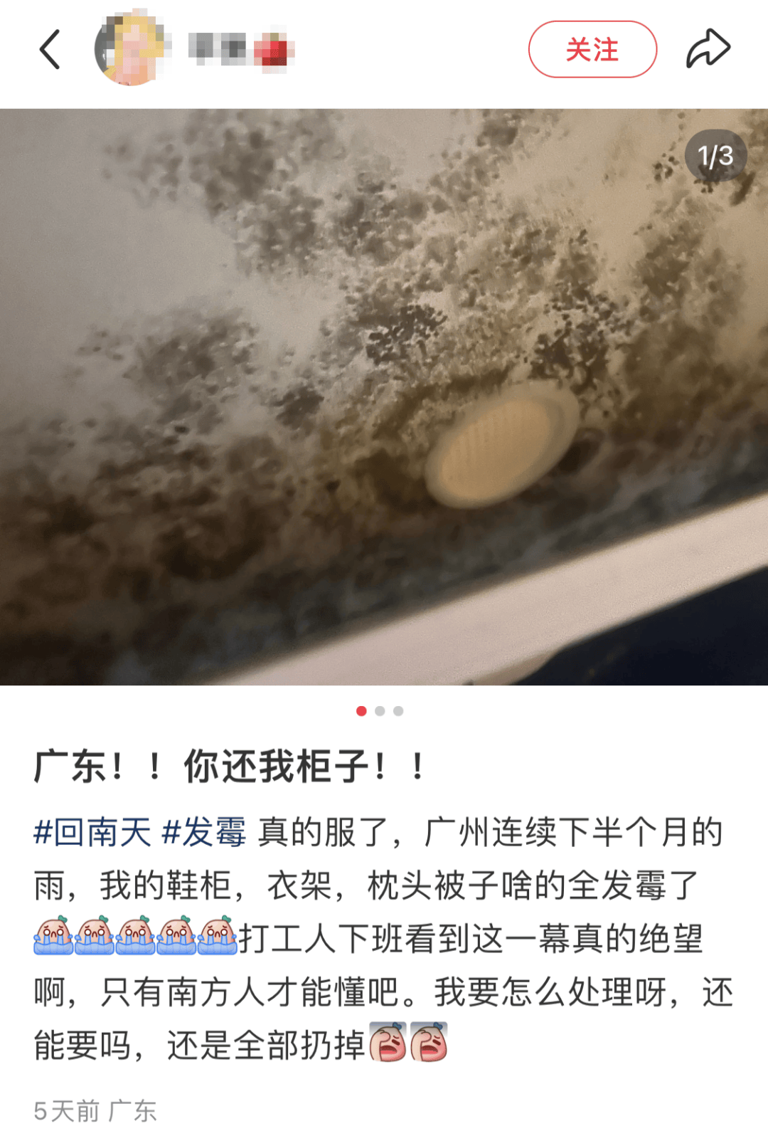 “真的绝望”！最近<strong></p>
<p>待处理财产损溢</strong>，很多深圳人家中被悄悄入侵！速自查这些地方……