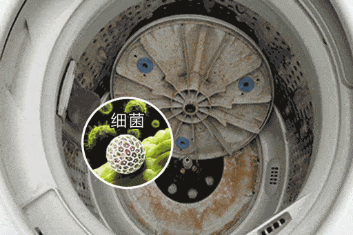“真的绝望”！最近<strong></p>
<p>待处理财产损溢</strong>，很多深圳人家中被悄悄入侵！速自查这些地方……