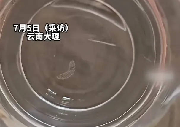 女子喝了隔夜水里的蚊子卵<strong></p>
<p>好好理财</strong>！专家：没事