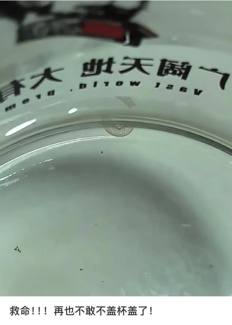 女子喝了隔夜水里的蚊子卵<strong></p>
<p>好好理财</strong>！专家：没事