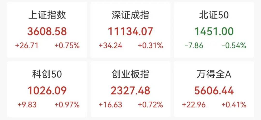 重回3600点！牛市“旗手”<strong></p>
<p>投资理财集团</strong>，涨停！