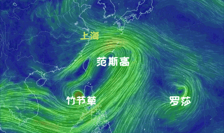 大风+大雨<strong></p>
<p>商务理财</strong>，上海今起受台风影响！一活动紧急取消！这几个区的雨更大