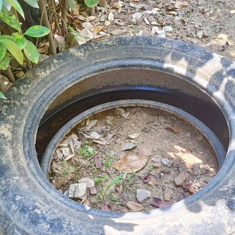 青岛疾控最新提醒：全民行动<strong></p>
<p>工行理财金账户</strong>！翻盆倒罐、清除积水！