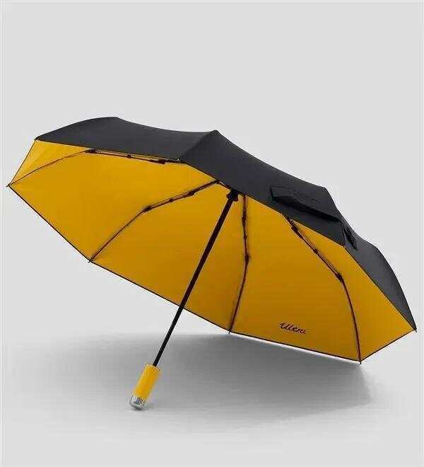 雷军发文：最近雨太多<strong></p>
<p>100万怎么理财</strong>，我们为小米车主做了把伞，定价169元，今日开售