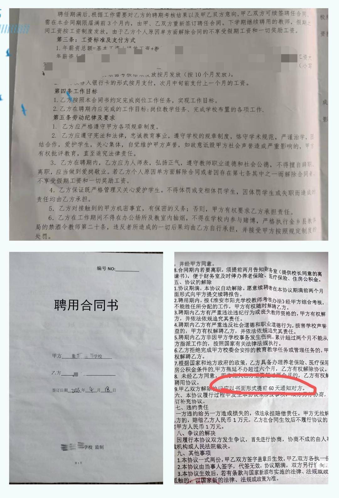 以招生未达到预期为由<strong></p>
<p>大理财校</strong>，多地新聘教师遭拟入职学校单方面毁约｜封面深镜