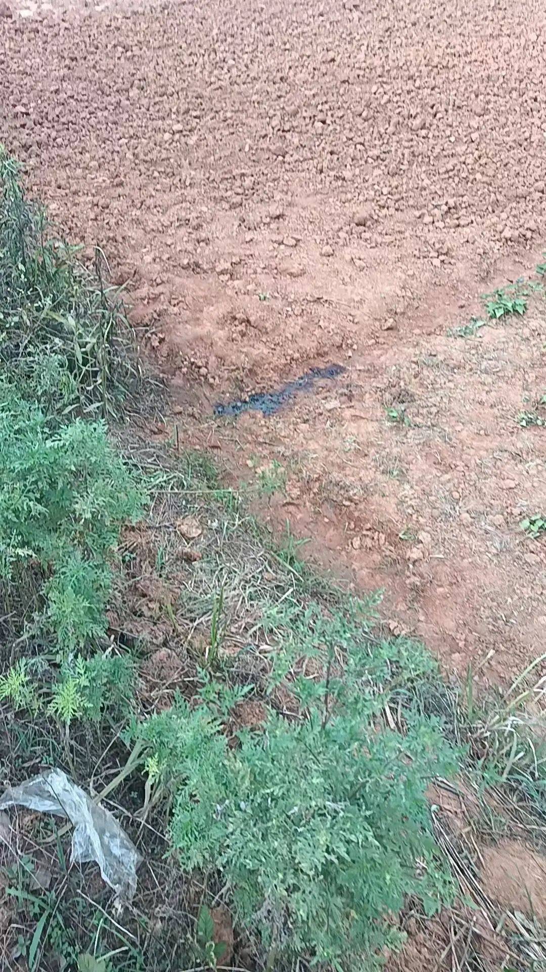 工人被误当猎物枪击身亡<strong></p>
<p>理财规划师证书</strong>，警方通报：屈某某、罗某某被刑拘