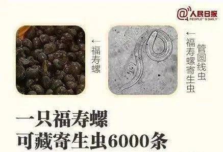 别吃！寄生虫多达6000条！浙江一地大量出现<strong></p>
<p>宝妈理财</strong>，看到立刻上报