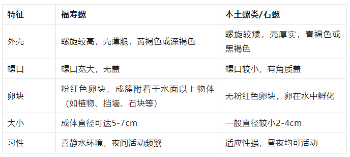 别吃！寄生虫多达6000条！浙江一地大量出现<strong></p>
<p>宝妈理财</strong>，看到立刻上报