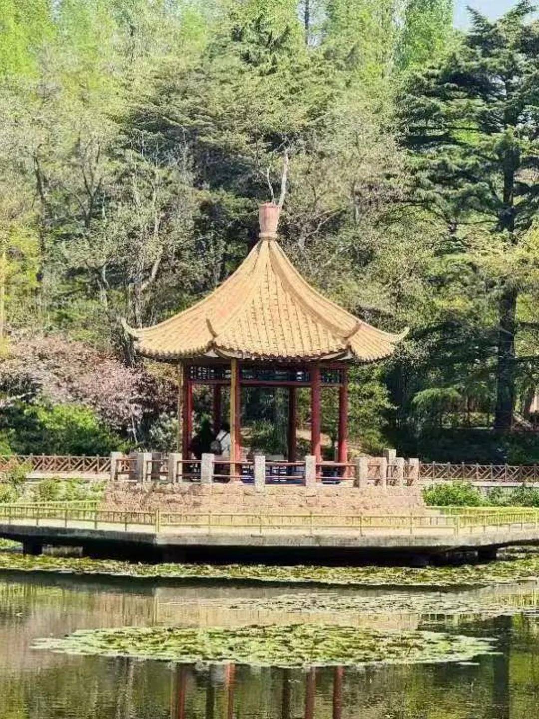 青岛中山公园一凉亭突然倒塌：一年前刚完成修缮<strong></p>
<p>非保本理财产品</strong>，园方称无伤亡原因待查