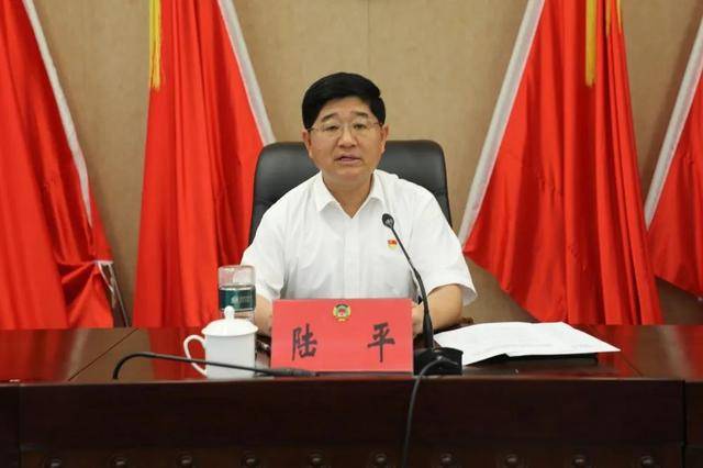 涉嫌严重违纪违法<strong></p>
<p>菜鸟理财</strong>，陆平主动投案