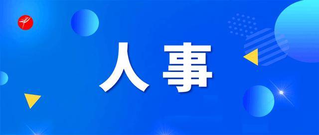 重要人事任命！5人接受审查调查<strong></p>
<p>菜鸟理财</strong>，4人被开除党籍