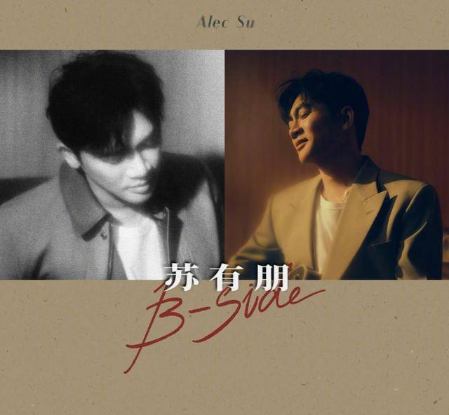 苏有朋音乐会普通票不能合影<strong></p>
<p>优先理财</strong>，本人回应