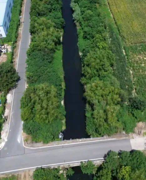 去年整改过的“黑水河”<strong></p>
<p>优先理财</strong>，今年怎么又黑了？ | 新京报快评