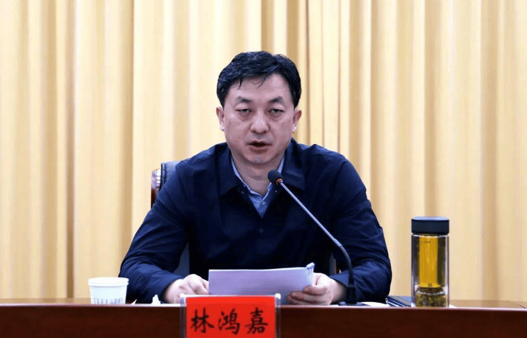 鹤壁市常务副市长林鸿嘉<strong></p>
<p>微信理财</strong>，被罢免市人大代表职务