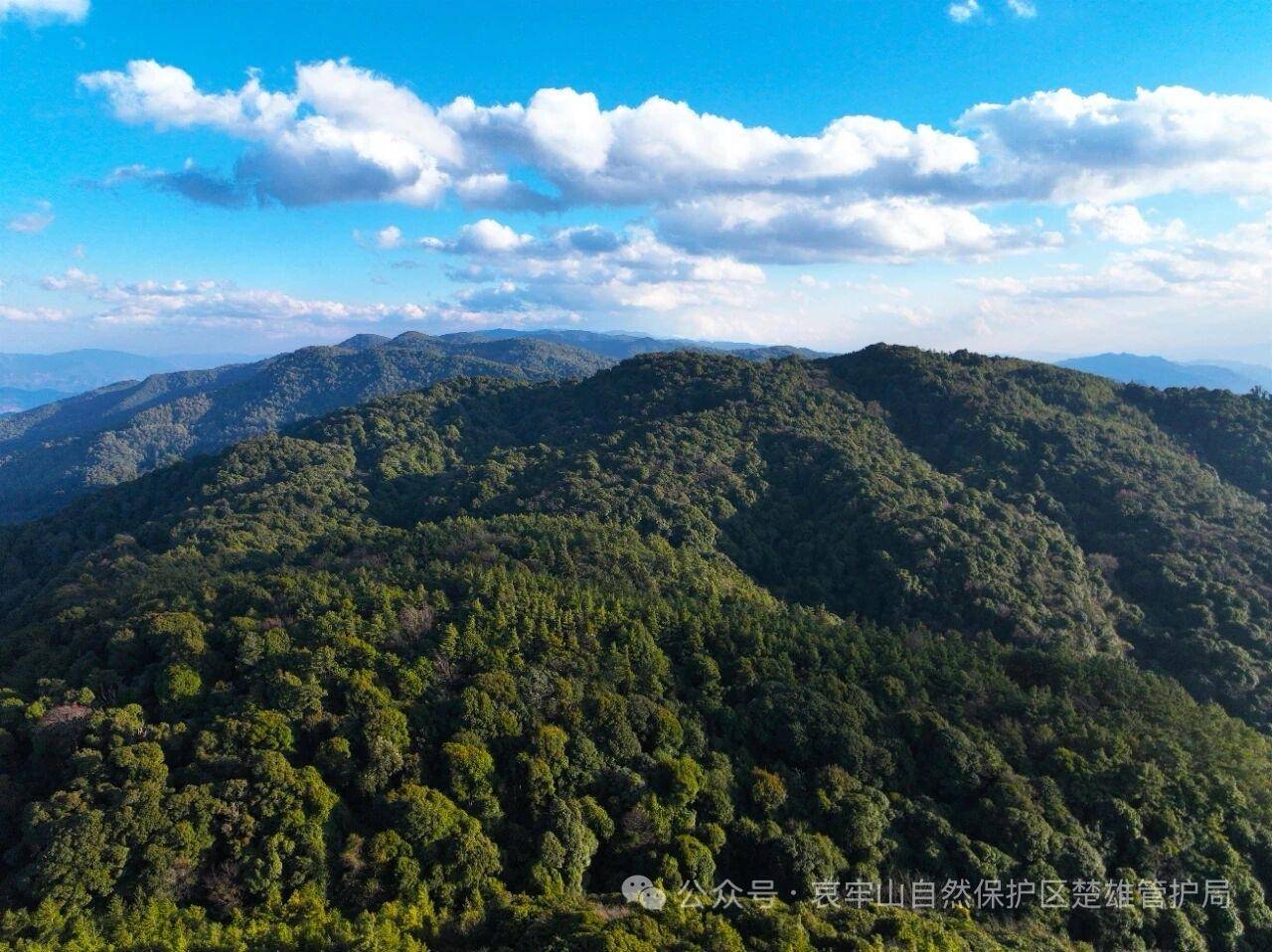 云南哀牢山新规出台：禁止任何单位和个人擅入哀牢山自然保护区<strong></p>
<p>支付宝</strong>，从事科研活动须报批