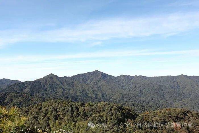 云南哀牢山新规出台：禁止任何单位和个人擅入哀牢山自然保护区<strong></p>
<p>支付宝</strong>，从事科研活动须报批