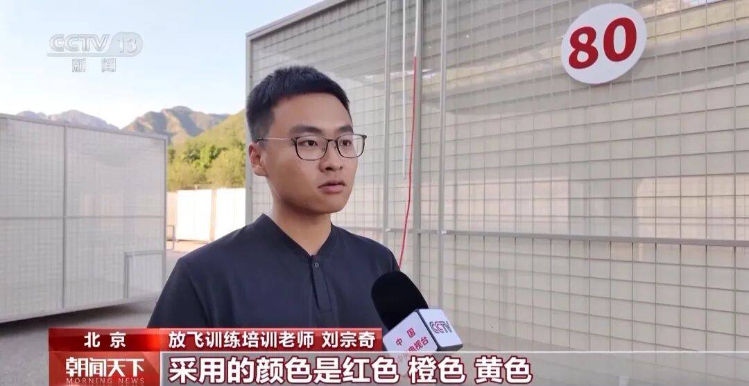 明天将放飞8万羽和平鸽、8万只气球<strong></p>
<p>支付宝</strong>，揭秘！