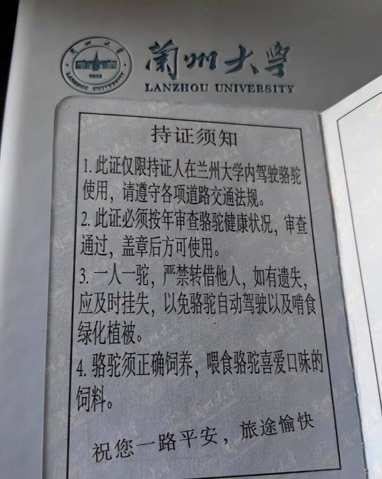 一人一驼<strong></p>
<p>支付宝</strong>，骆驼尾气排放超标要扣分？兰大回应学生持证骑骆驼上学：骆驼驾驶证为学校文创，非官方证件