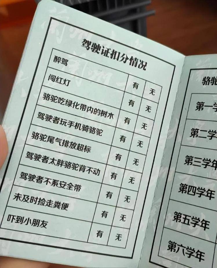 一人一驼<strong></p>
<p>支付宝</strong>，骆驼尾气排放超标要扣分？兰大回应学生持证骑骆驼上学：骆驼驾驶证为学校文创，非官方证件