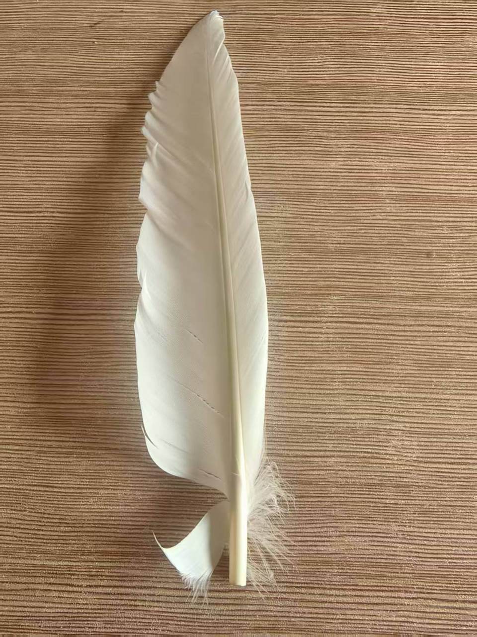 羽毛球又又又涨价<strong></p>
<p>支付宝</strong>，球友破防：月花三千扛不住，打球人的天塌了