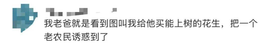 “花生上树”闹剧：AI翻车背后<strong></p>
<p>e网</strong>，我们都在弄丢常识？