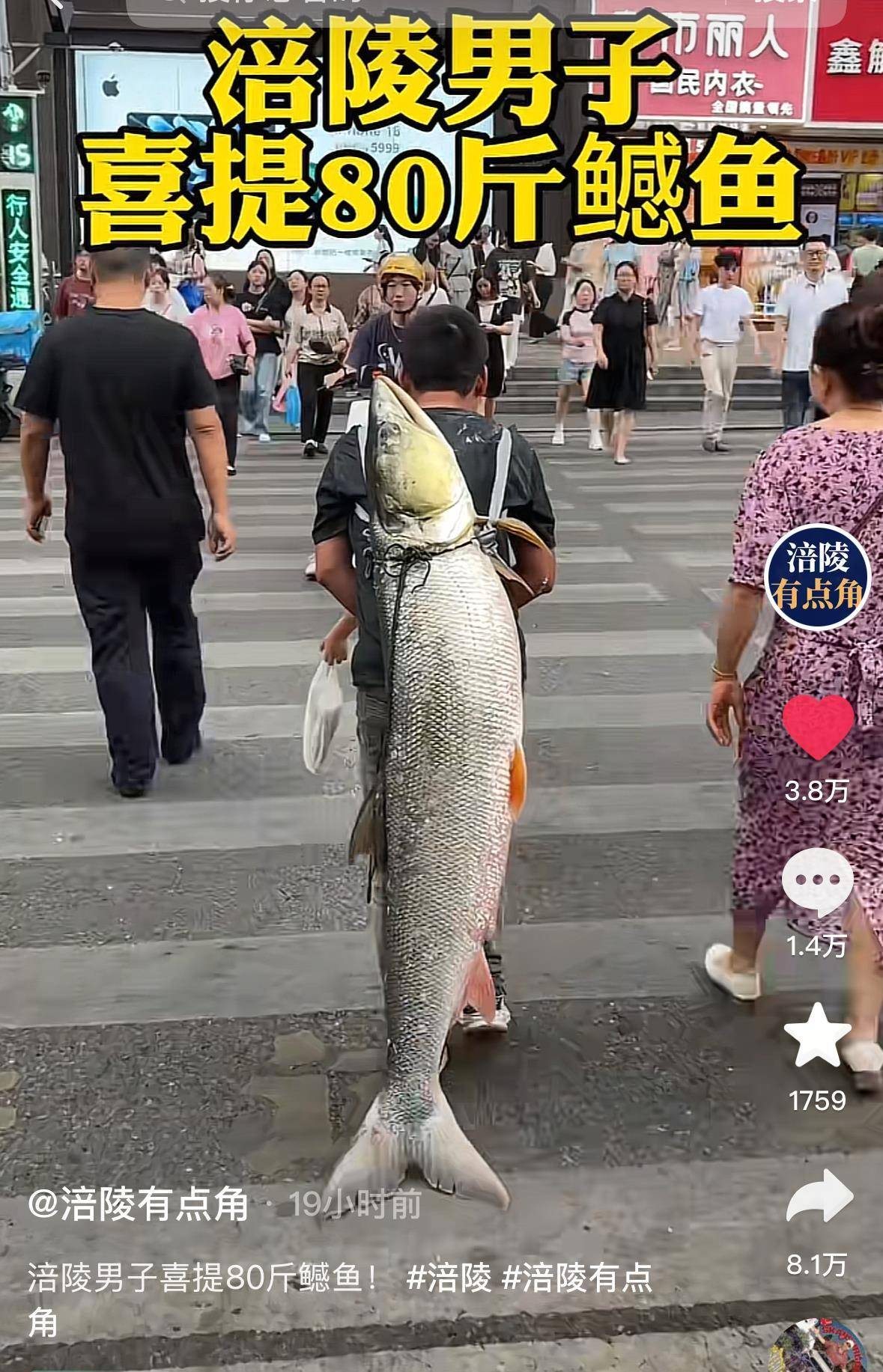 重庆一男子钓上79斤鳡鱼后<strong></p>
<p>欧易怎么收购虚拟币</strong>，背着鱼在闹市当“显眼包”穿行20分钟，本人：有1.64米长