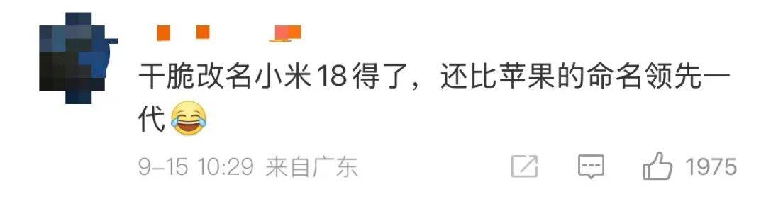 雷军：全面对标iPhone<strong></p>
<p>虚拟币DM5</strong>，正面迎战！小米宣布跳过16系列，直接发布17