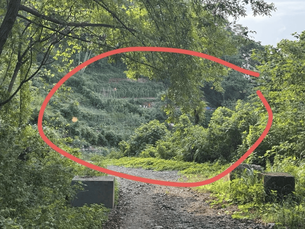 杭州女子误踩“化骨水”身亡<strong></p>
<p>虚拟币TLS-1</strong>，当地：已锁定化学品所有者，发现三桶，一桶完整，两桶残余
