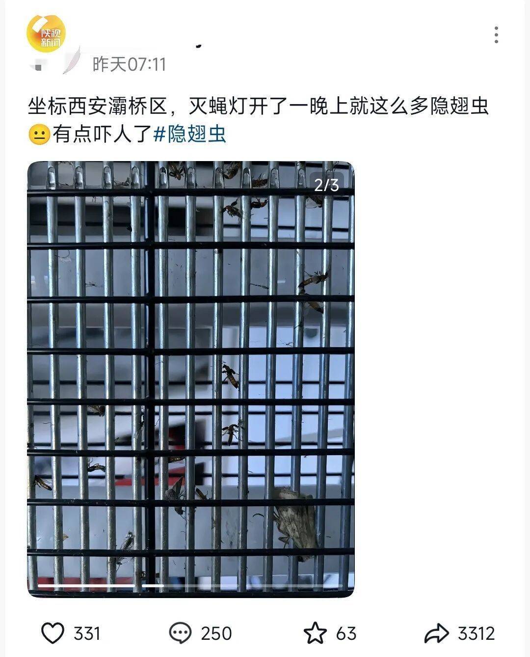西安多区发现隐翅虫？千万别拍<strong></p>
<p>虚拟币TLS-1</strong>！毒液堪比硫酸