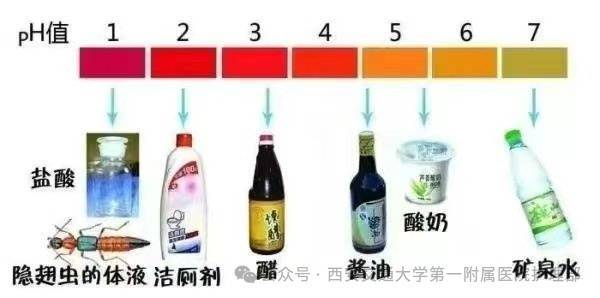 西安多区发现隐翅虫？千万别拍<strong></p>
<p>虚拟币TLS-1</strong>！毒液堪比硫酸