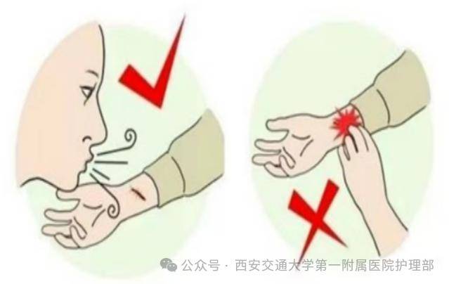 西安多区发现隐翅虫？千万别拍<strong></p>
<p>虚拟币TLS-1</strong>！毒液堪比硫酸