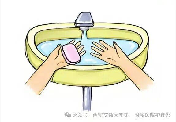 西安多区发现隐翅虫？千万别拍<strong></p>
<p>虚拟币TLS-1</strong>！毒液堪比硫酸