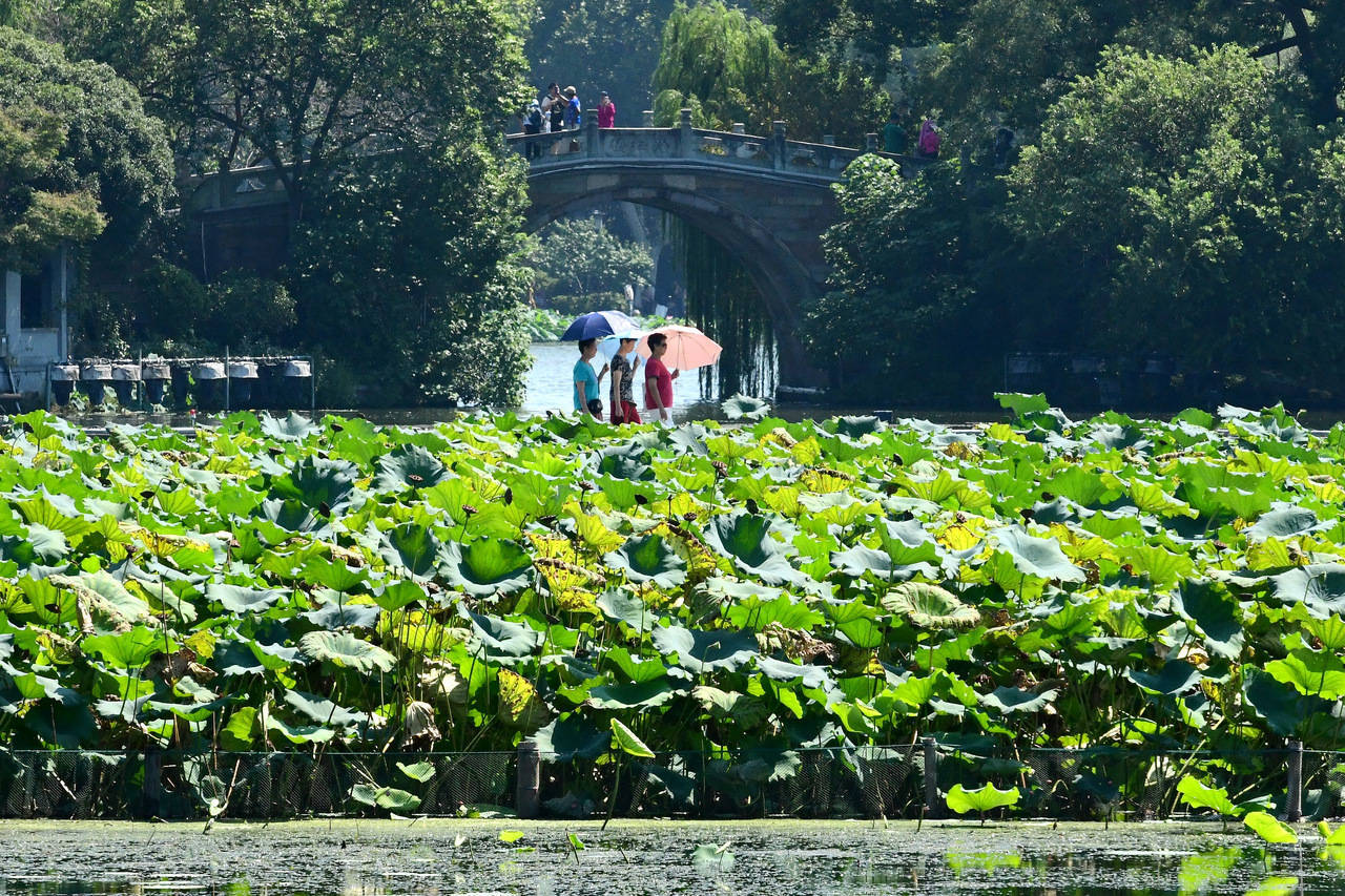 “三台共舞”对浙江有何影响？周末又有冷空气<strong></p>
<p>虚拟币提款到银行卡要多久</strong>，气温舒适
