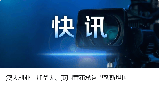 中方奉劝以色列议员：如不悬崖勒马<strong></p>
<p>雪花币</strong>，必将摔得粉身碎骨